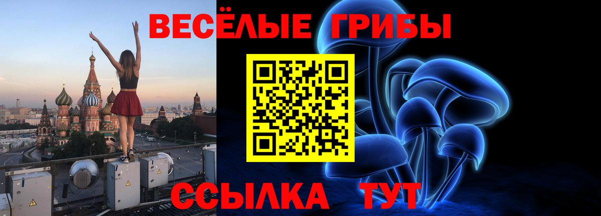 Псилоцибиновые грибы Psilocybine cubensis  Вход с VPN  Сатка 